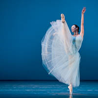 Dance - Performance (Hungarian National Ballet)