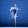 rvny No.2 - 31 (Magyar Nemzeti Balett) - Zene: Philip Glass - Koreogrfia: Lukcs Andrs - (Modern Tnc Fnykp)