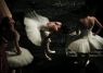 Back Stage - Swan Lake Rehearsal - 09  -  (Classical Ballet Photography) Ballet Photo