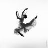 Dance - Group No. 2 - 30 - 'Marianna Silhouette' - Marianna Barabs Ballet Photo