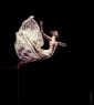 PHOTO: 1495 Title: Oblivion - Dancer: Pap Zsuzsanna - Ballet Photography
