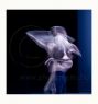 Fine Art Prints - InMotion 08 - ﻿(Print Available on Hahnemühle 100% Cotton Matte Paper) - Fine Art Print Ballet Photo