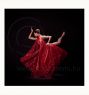 Fine Art Prints - Zsofia - ﻿(Print Available on Hahnemühle 100% Cotton Matte Paper) - Fine Art Print Ballet Photo