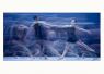 Fine Art Prints - InMotion 05 - ﻿(Print Available on Hahnemühle 100% Cotton Matte Paper) - Fine Art Print Ballet Photo