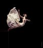 PHOTO: 1664 Title: Oblivion - Dancer: Pap Zsuzsanna - Dance Photography
