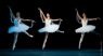 Bayadere No.3 - Bayadere 74 - Adrienn Pap, Ildik Boros, Krisztina Pazr - (Dancer Photos) Ballet Photo