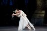 Bayadere No.2 - Bayadere 52 - Alexandra Kozmr, Zoltn Olh - (Dance Picture) Ballet Photo