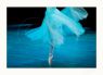Fine Art Prints - InBlue 1 - (Print Available on Hahnemühle 100% Cotton Matt Paper) - Fine Art Print Ballet Photo
